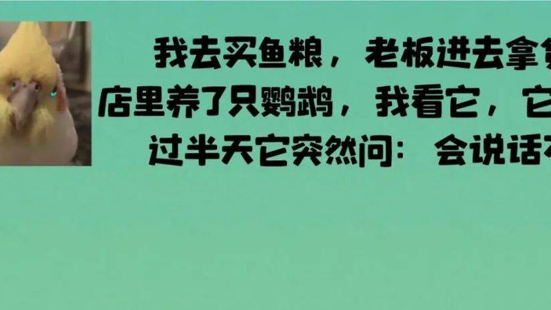 蜜饯果干代发：揭秘一手货源厂家的优势与选择要点