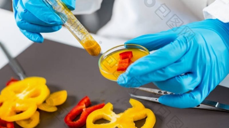 糖果包装机单粒与多粒：如何根据需求精准选型